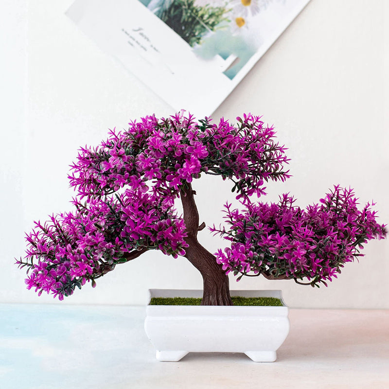Bonsaiplant