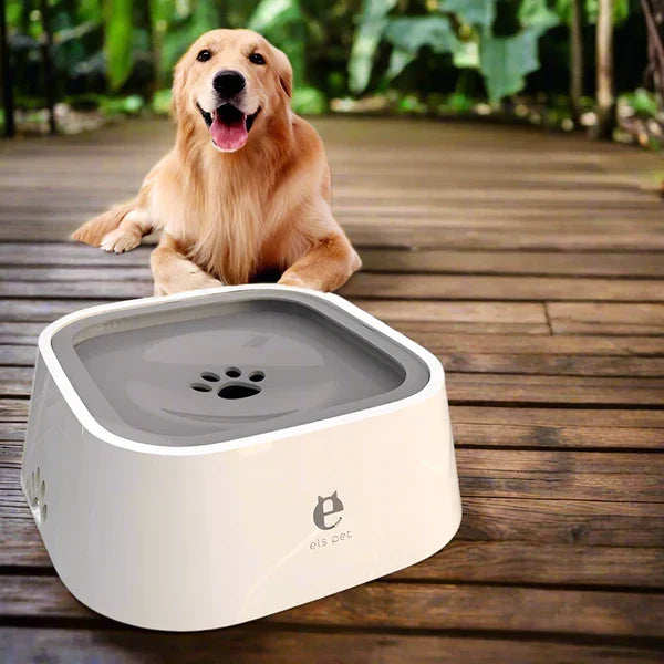 Drinkbak voor honden