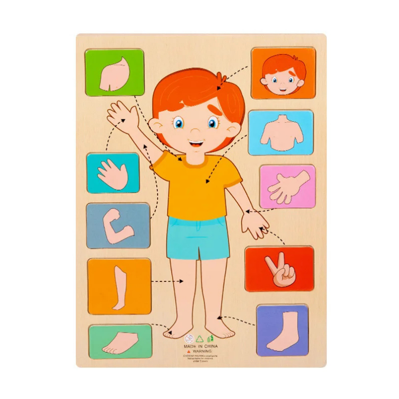Educatief Houten Puzzelspeelgoed Menselijk Lichaam voor Kinderen