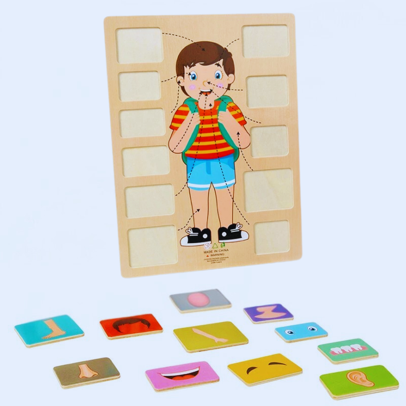 Educatief Houten Puzzelspeelgoed Menselijk Lichaam voor Kinderen