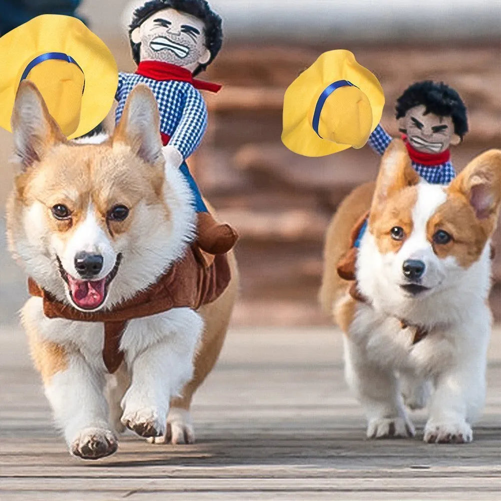 Halloweenkostuum voor honden