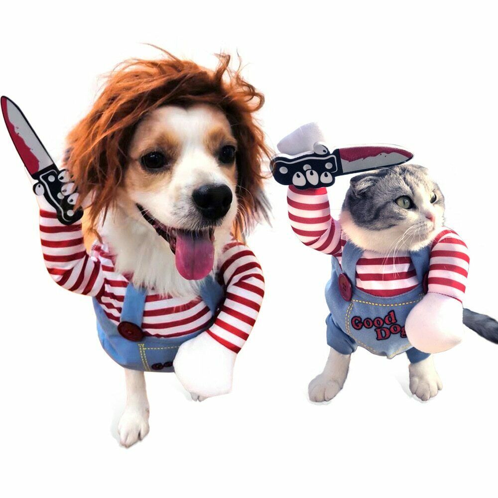 Halloweenkostuum voor honden