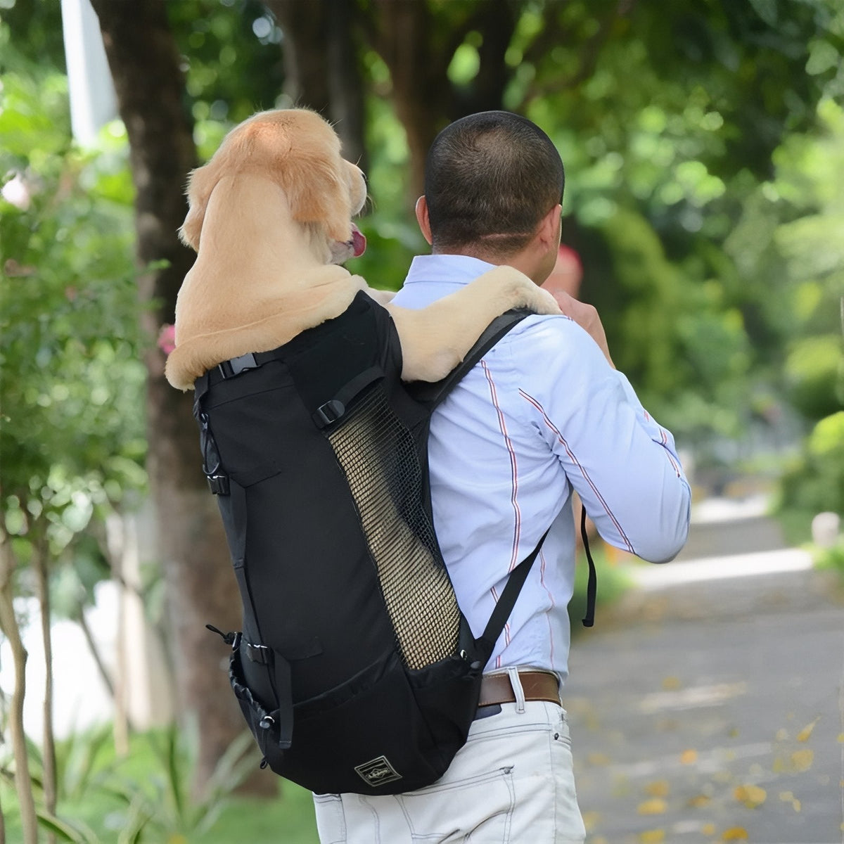 Hondendraagrugzak voor wandelen