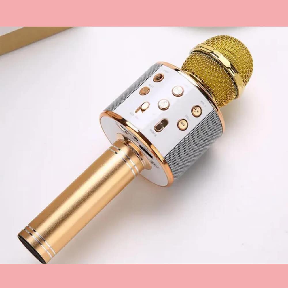 Karaokemicrofoon met bluetooth en luidspreker
