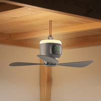 Oplaadbare outdoor plafondventilator met 12000 mAh en ledverlichting