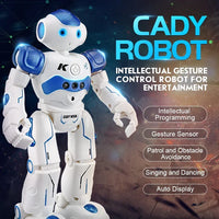 Slimme robot met bewegingsdetectie