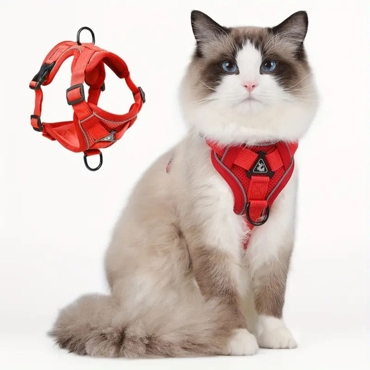Veilig kattentuigje met ontsnappingsbeveiliging