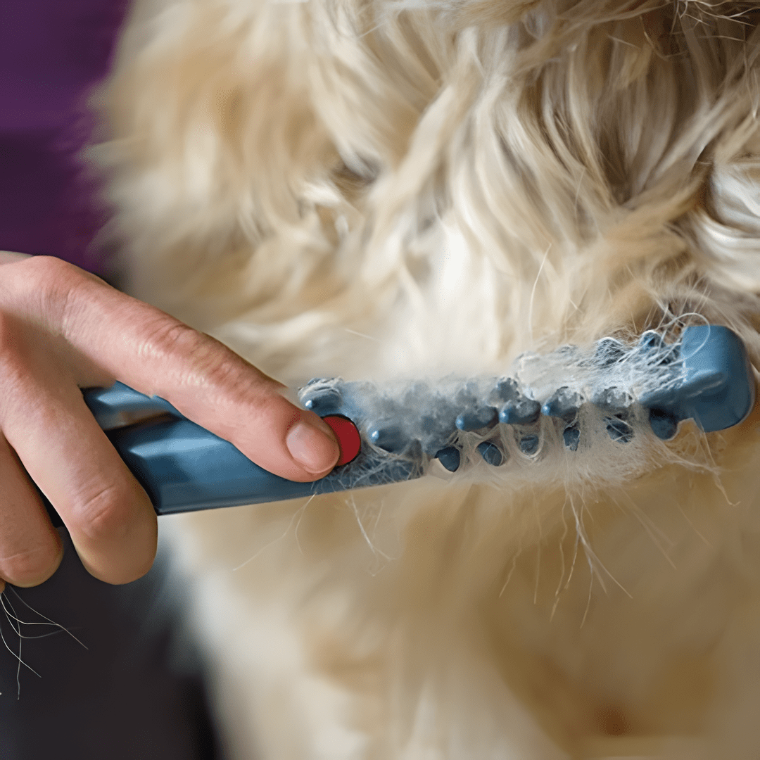 Zachte vachttrimmer voor huisdieren, geschikt voor alle vachttypes